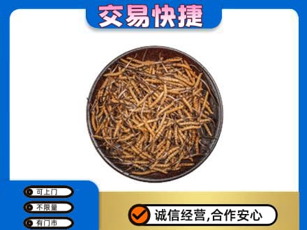 上海市浦东礼品回收虫草.jpg